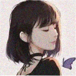 追番达人